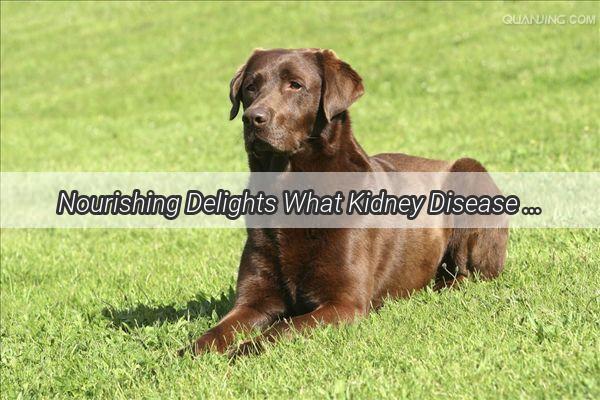 Nourishing Delights What Kidney Disease Dogs Can Still Savor